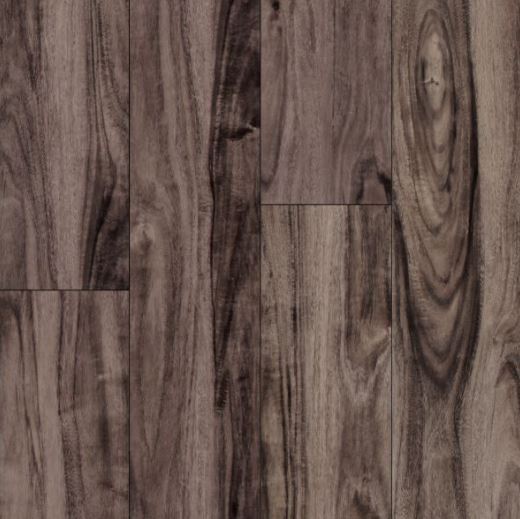 Drifted Acacia
